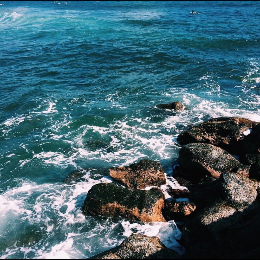 Meet your Posher, Carla